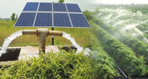 micro irrigation, solar based, Haryana, India